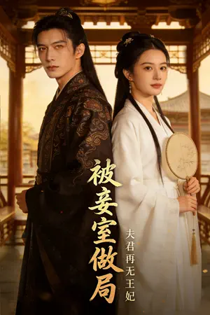 Poster 被妾室做局，夫君再无王妃