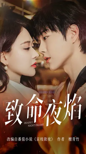 Poster 致命夜焰